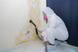 Mold Remediation for Rental Properties in Trevorton, PA